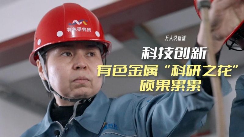 数据治理生命周期管理流程：构建高效数据管理的基石**